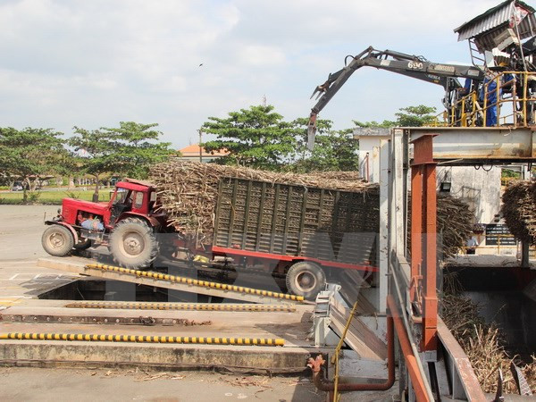 [Video] Đại sứ Mỹ tin tưởng vào các dự án tương lai tại xứ Thanh ảnh 1