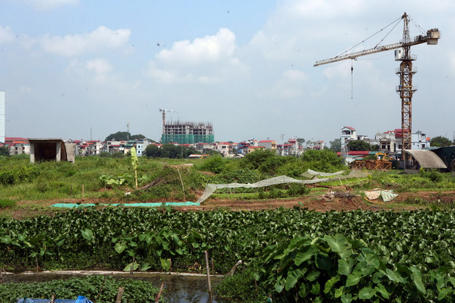 Hà Nội tồn đọng hơn 144.000 thửa đất không đủ điều kiện cấp “sổ đỏ” ảnh 1