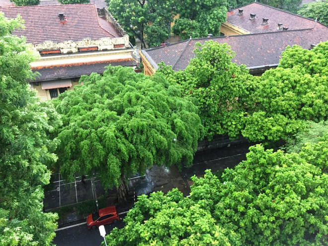 Bắc Bộ và Thanh Hóa có mưa to, lượng mưa phổ biến từ 60-120mm ảnh 2