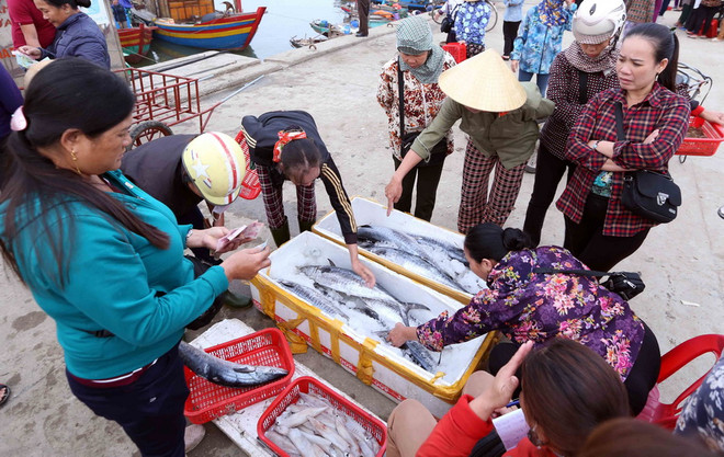 Hà Tĩnh hoàn tất thủ tục chi trả bồi thường sự cố môi trường biển ảnh 1