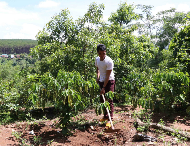 Về với buôn làng sau 9 năm làm "người rừng" vì tin theo tà đạo ảnh 1
