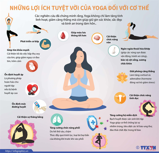 Ngày Quốc tế Yoga lần thứ 6 thu hút gần 3.000 người tham gia ảnh 2
