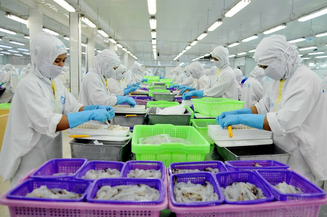 Xuất khẩu nông-lâm-thủy sản trong sáu tháng giảm 2,8% ảnh 1