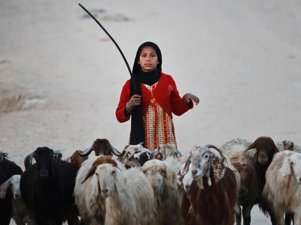 Nhiều trẻ em gái không có tuổi thơ vì sớm bị bóc lột sức lao động ảnh 1