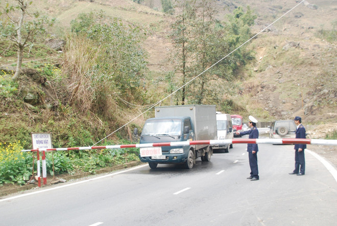 Lào Cai cấm tuyệt đối xuất nhập khẩu gia cầm qua biên giới ảnh 1