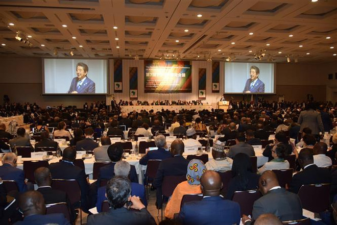 Việt Nam dự Hội nghị Quốc tế Tokyo về phát triển châu Phi ảnh 1