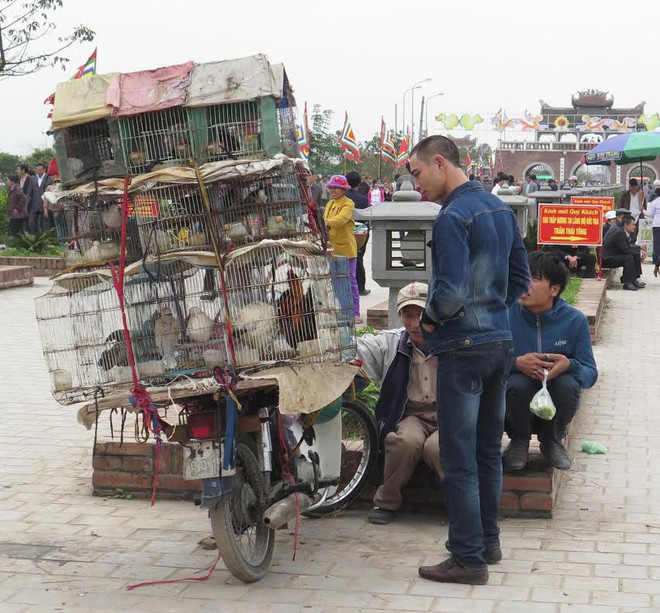 Những hình ảnh phản cảm tại Lễ hội đền Trần Thái Bình 2015 ảnh 3