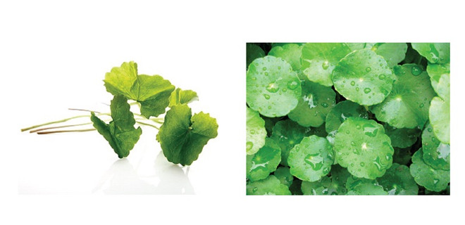 Những điều bạn không thể bỏ qua nếu muốn trị sẹo đúng cách ảnh 2