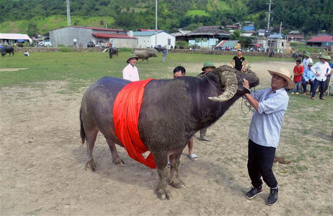 Người Sơn La "mừng Cơm mới" cảm tạ đất trời, cầu mùa màng tươi tốt ảnh 3