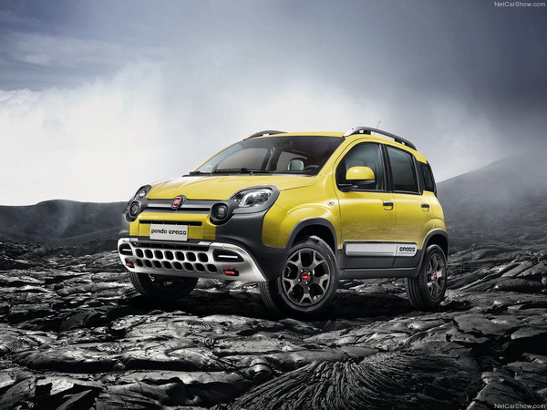 Lộ diện mẫu xe hầm hố Panda Cross của hãng xe Fiat ảnh 1