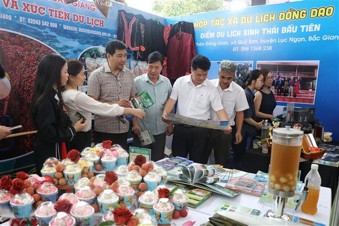 Năm đầu tiên xuất khẩu vải thiều Bắc Giang bằng đường sắt qua ga Kép ảnh 3