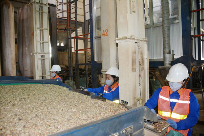 dak lak_xuat khau 3.jpg