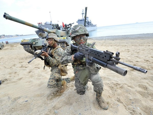 Khai mạc cuộc tập trận hải quân chung giữa Mỹ và Hàn Quốc ảnh 1