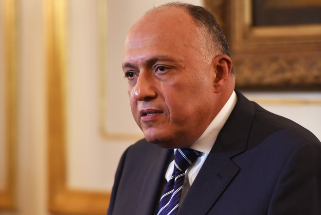 Ai Cập khẳng định sự cần thiết của giải pháp chính trị cho Syria ảnh 1