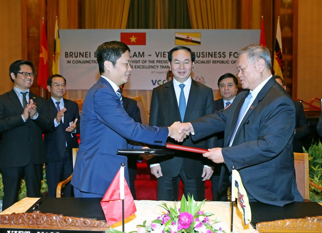 Chủ tịch nước dự Diễn đàn doanh nghiệp Việt Nam-Brunei ảnh 1