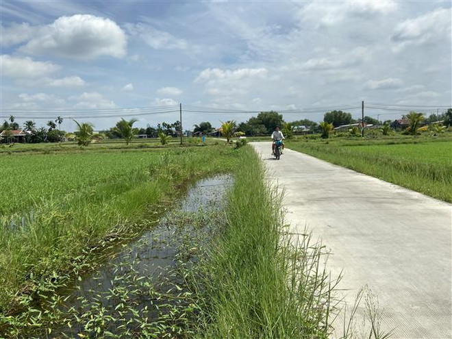 Chấp thuận chuyển đổi đất lúa để thực hiện dự án tái định cư ở Long An ảnh 1