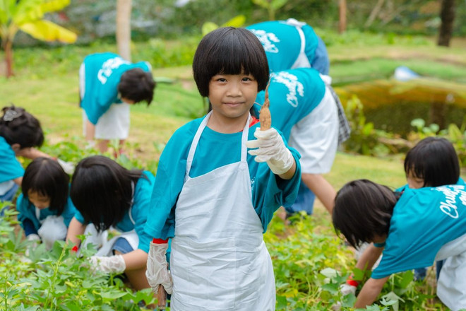 4. Tham quan vườn rau hữu cơ của Meliá Vinpearl Cam Ranh Beach Resort.jpg