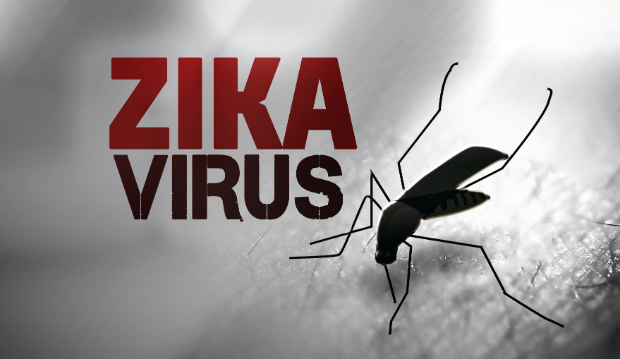 Mỹ thử thành công vắcxin phòng chống virus Zika trên động vật ảnh 1