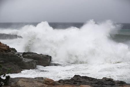 Nhật Bản: Siêu bão Habigis gây nhiều thương vong và thiệt hại ảnh 1