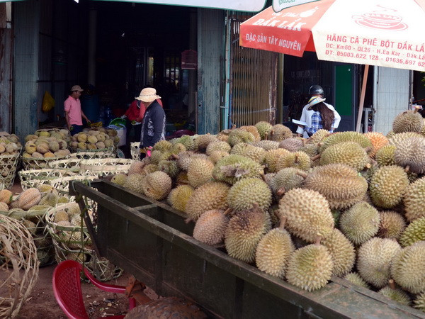 Nông dân Tiền Giang trở thành tỷ phú nhờ sầu riêng được giá ảnh 1