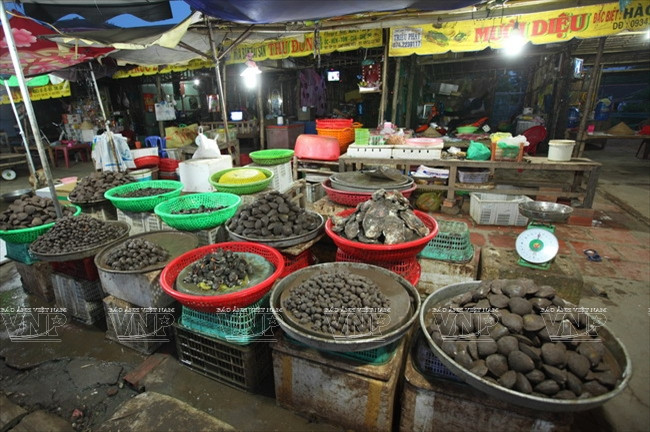 [Photo] Ghé thăm bãi biển hoang sơ và dài nhất tỉnh Trà Vinh ảnh 10