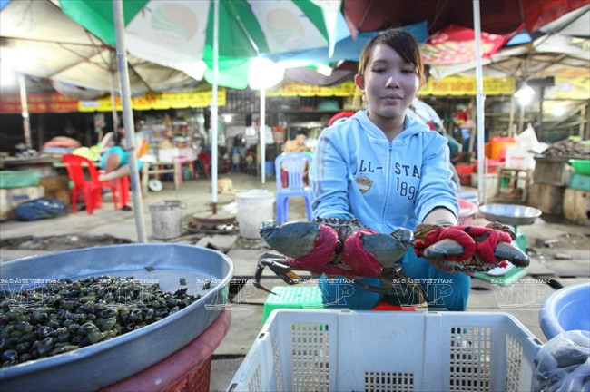 [Photo] Ghé thăm bãi biển hoang sơ và dài nhất tỉnh Trà Vinh ảnh 9