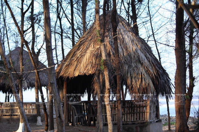 [Photo] Ghé thăm bãi biển hoang sơ và dài nhất tỉnh Trà Vinh ảnh 4