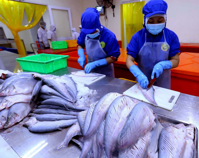 Giá trị xuất khẩu thủy sản trong 7 tháng qua ước đạt 4,63 tỷ USD ảnh 1