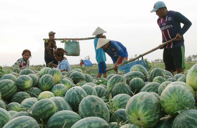 Người phát ngôn Chính phủ giải đáp vấn đề dư luận quan tâm ảnh 2