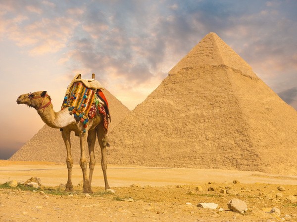 Thủ tướng Ai Cập: Đất nước đang khủng hoảng kinh tế nghiêm trọng ảnh 1