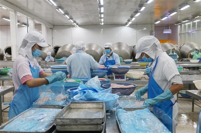 Thương mại Việt Nam-Campuchia luôn duy trì tốc độ tăng trưởng tích cực ảnh 1