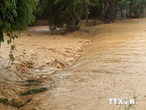 Đảm bảo theo dõi và dự báo đúng mưa, bão, lũ trong mọi tình huống ảnh 1