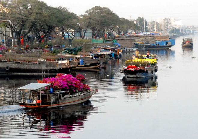 Thành phố Hồ Chí Minh đồng loạt khai mạc 131 chợ hoa Tết ảnh 1