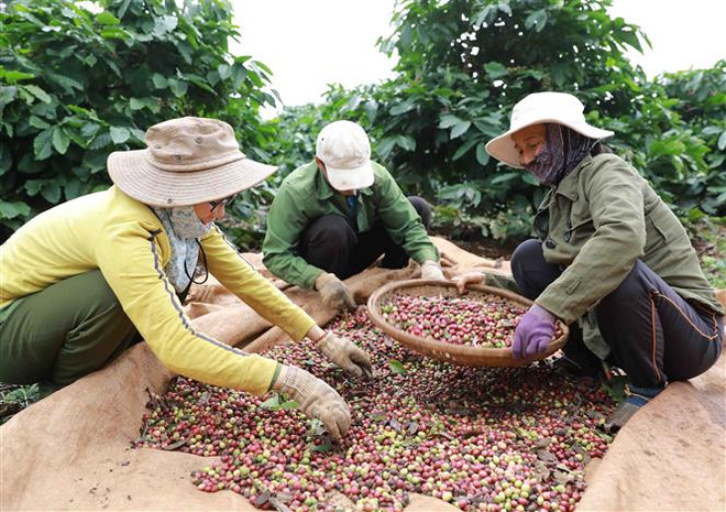 Việt Nam cần "nỗ lực gấp bội" để đạt SDGs vào năm 2030 ảnh 2