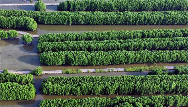 Việt Nam cần "nỗ lực gấp bội" để đạt SDGs vào năm 2030 ảnh 1