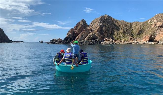 Thông tin san hô tại Hòn Sẹo chết hàng loạt: Chưa thể kiểm tra thực tế ảnh 3