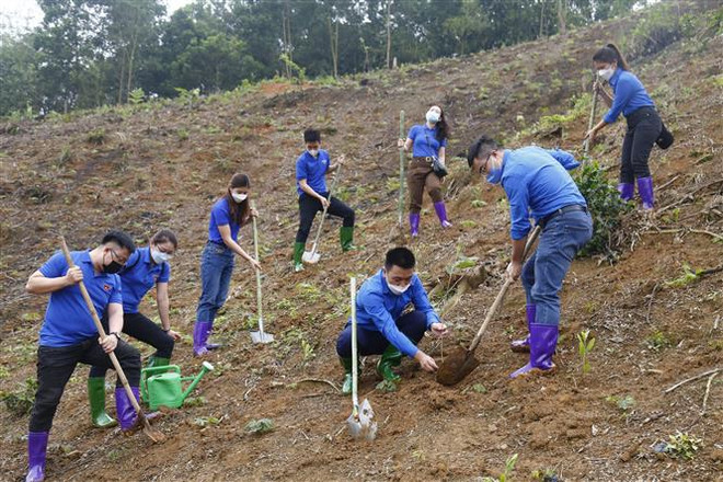 Tiếp tục hoàn thiện văn kiện Đại hội Đoàn toàn quốc lần thứ XII ảnh 1