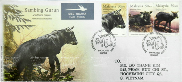 Thú vui những ngày đầu năm: Sưu tầm các loại tem tất niên ảnh 11