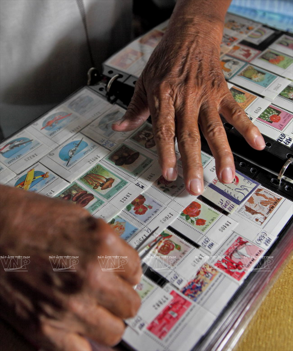 Thú vui những ngày đầu năm: Sưu tầm các loại tem tất niên ảnh 2