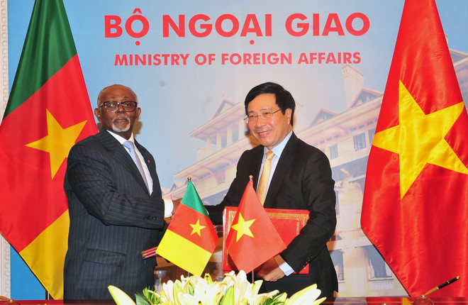 Cameroon sẵn sàng làm cầu nối để Việt Nam tăng hợp tác với Trung Phi ảnh 1