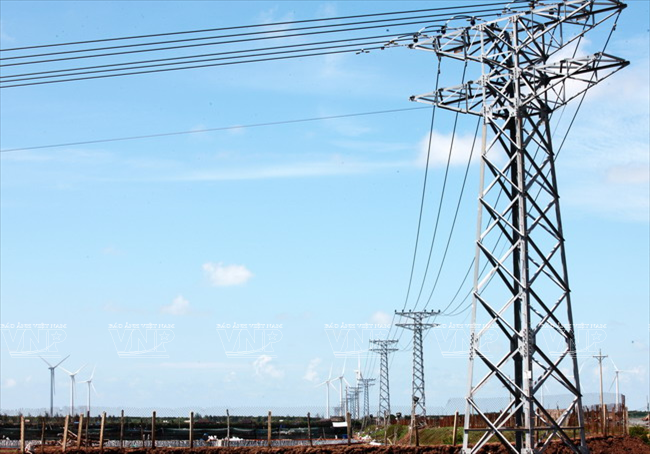 [Photo] Những đổi thay to lớn trên vùng điện gió Bạc Liêu ảnh 4