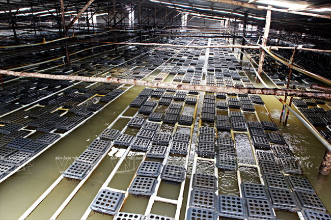 [Photo] Những đổi thay to lớn trên vùng điện gió Bạc Liêu ảnh 8