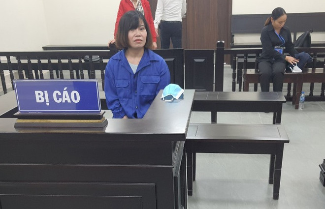 Xét xử đối tượng lừa góp vốn kinh doanh du lịch, chiếm hàng tỷ đồng ảnh 1