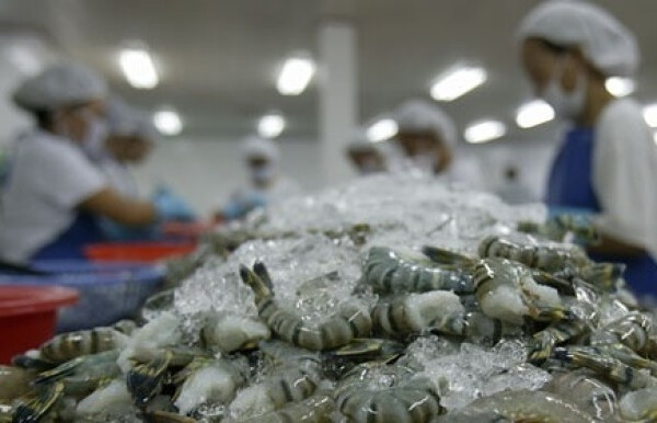 Hoa Kỳ tiếp nhận đề nghị điều tra chống trợ cấp tôm nước ấm đông lạnh ảnh 1