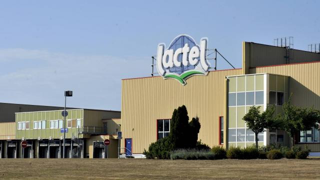 Gần 7.000 tấn sữa của tập đoàn Pháp bị thu hồi trên toàn thế giới ảnh 1