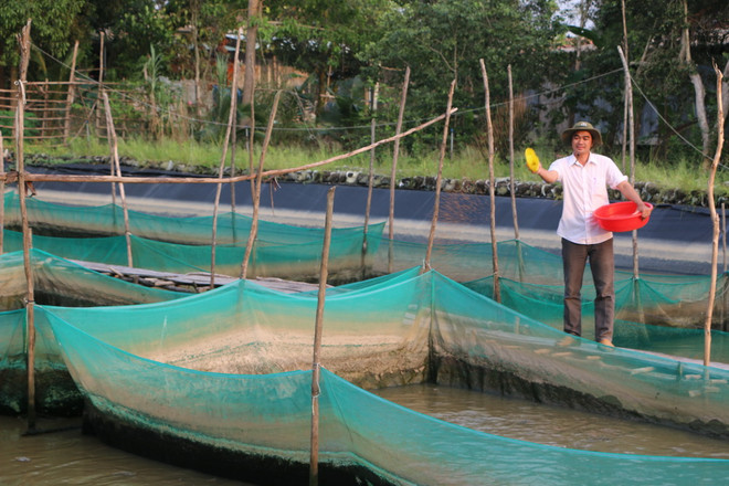 Thanh niên tiêu biểu dự Đại hội Đoàn: Làm giàu trên mảnh đất quê hương ảnh 2