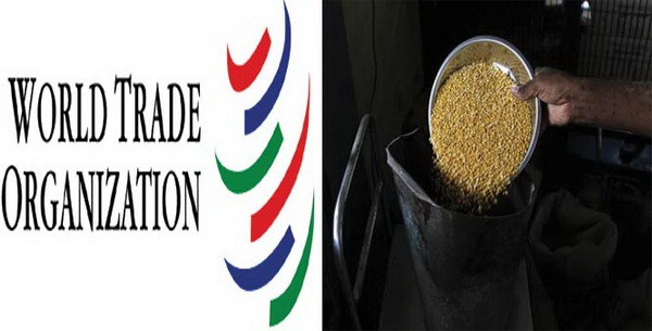 WTO: Hiệp định thuận lợi hóa thương mại còn nhiều bế tắc ảnh 1