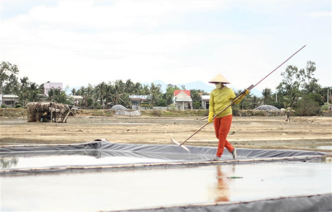 Diêm dân Cà Mau có nguy cơ "trắng tay" trước mưa lớn trái mùa ảnh 2