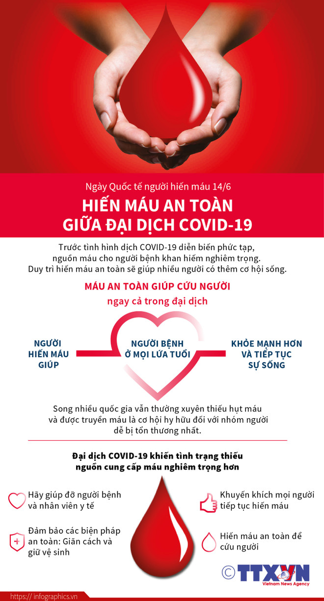 Những giọt máu ân tình tạo dựng nên một thế giới khỏe mạnh ảnh 3