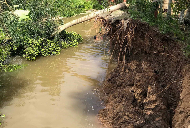 Cần Thơ: Sạt lở làm 2 xe máy đang đi trên đường bị rơi xuống kênh ảnh 1